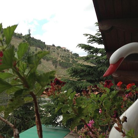 Mina Teva Villa Metula Esterno foto