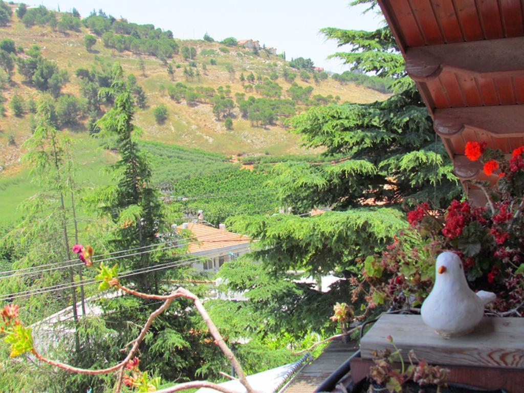 Mina Teva Villa Metula Esterno foto