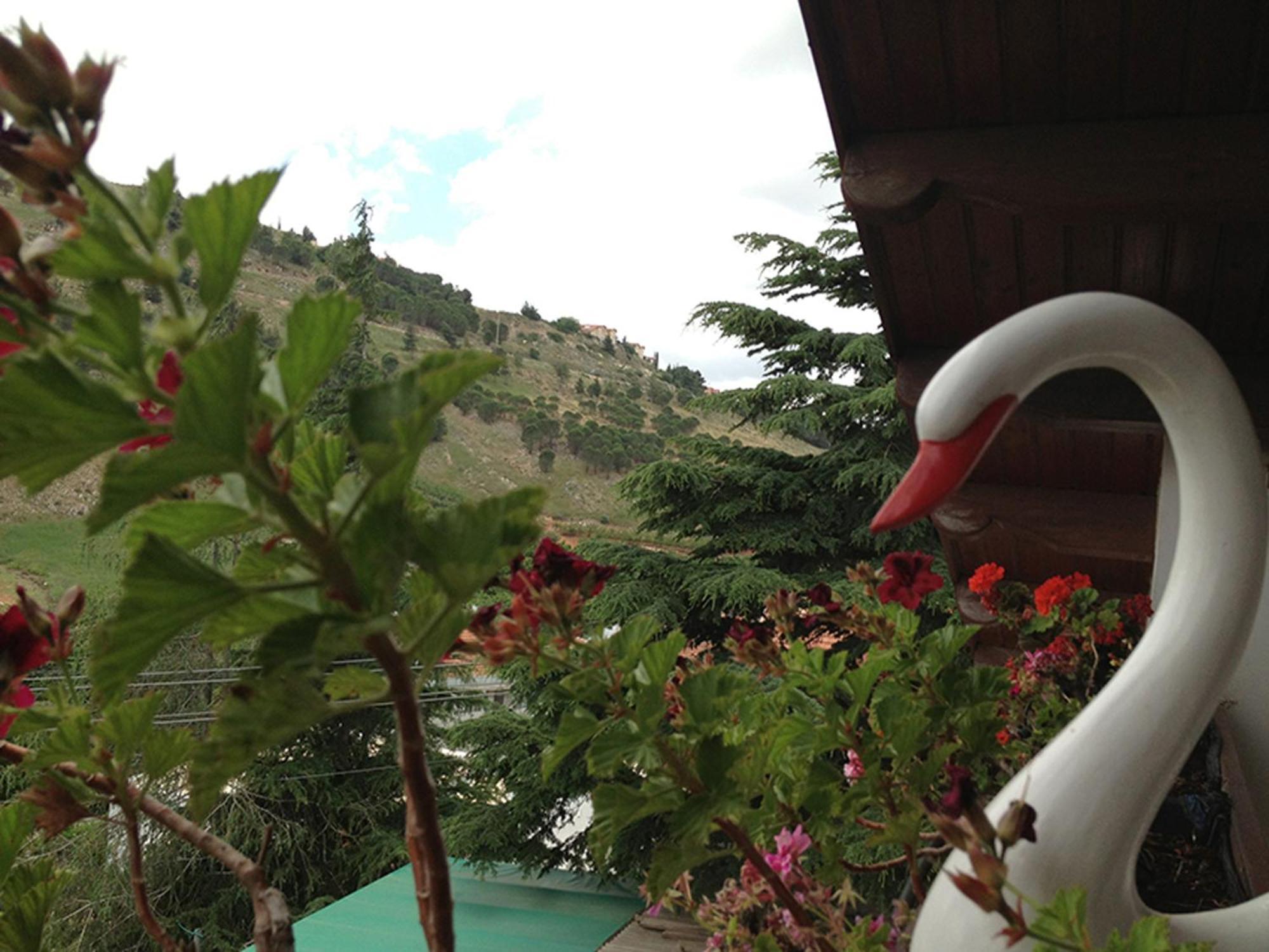 Mina Teva Villa Metula Esterno foto